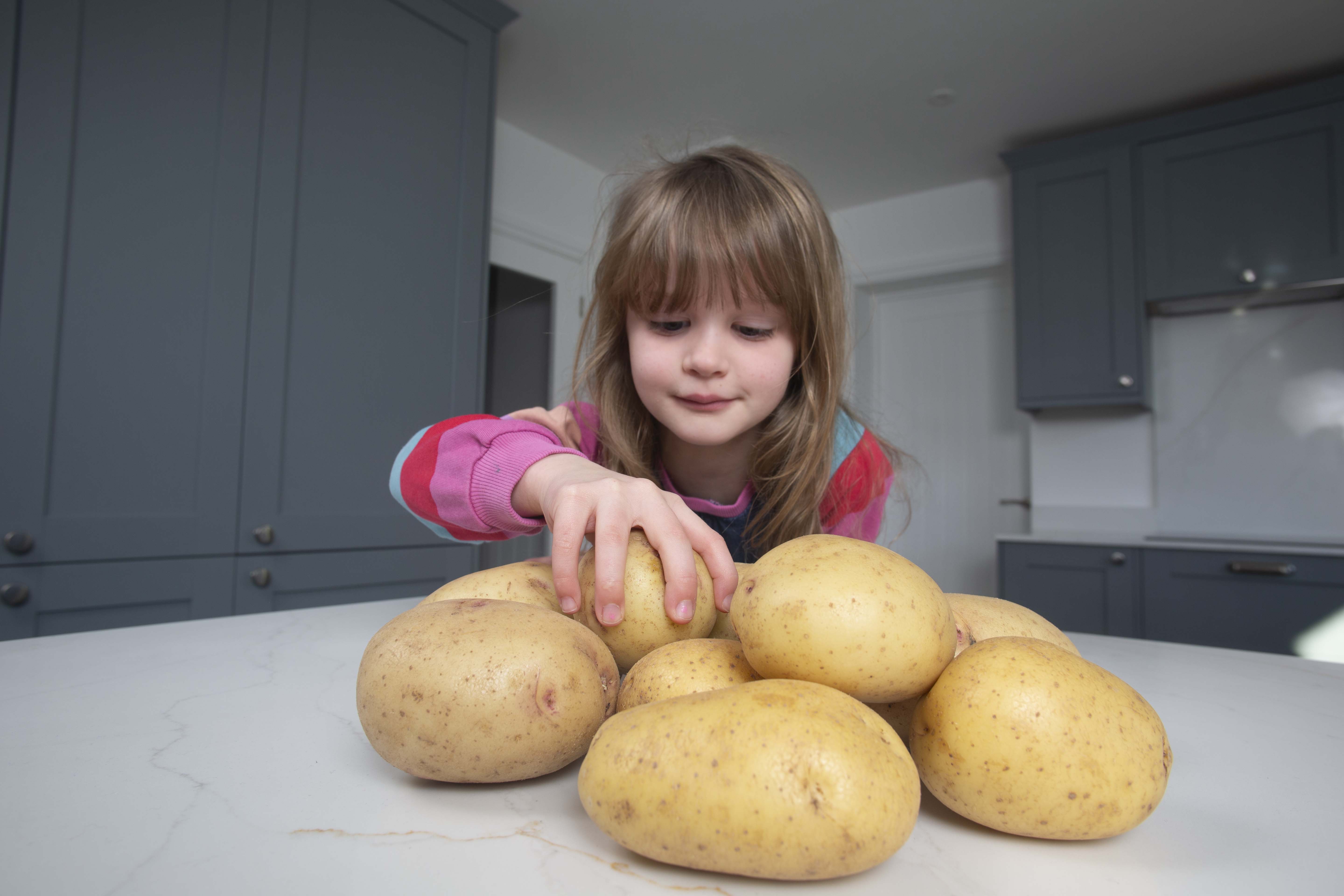 A little girl reaching to pick up a potato from a pile of raw potatoes on a kitchen worktop loading=
